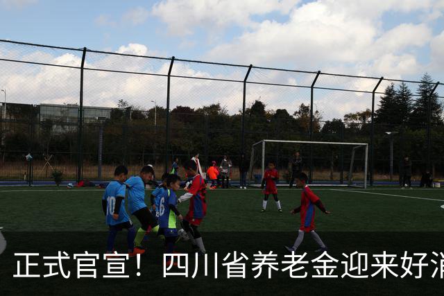 正式官宣！四川省养老金迎来好消息，每月普涨30元，80岁以上增发